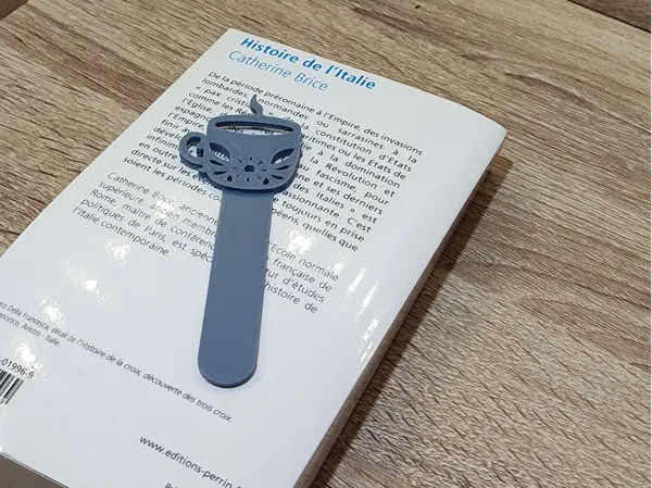 https://makerworld.bblmw.com/makerworld/model/US5f32f0bb523875/design/2025-01-16_ddf5a232ac76d.jpg