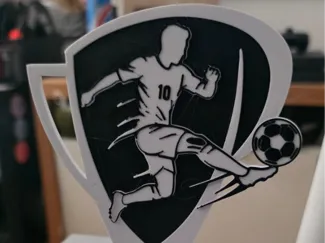 Trofeo de Soccer