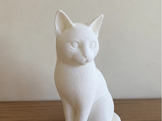 Gato para colorir