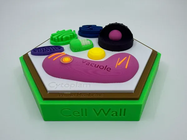 https://makerworld.bblmw.com/makerworld/model/US5f40c158751465/design/2024-12-17_c7afddf5e788d.jpeg