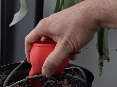Watering Globes for plants