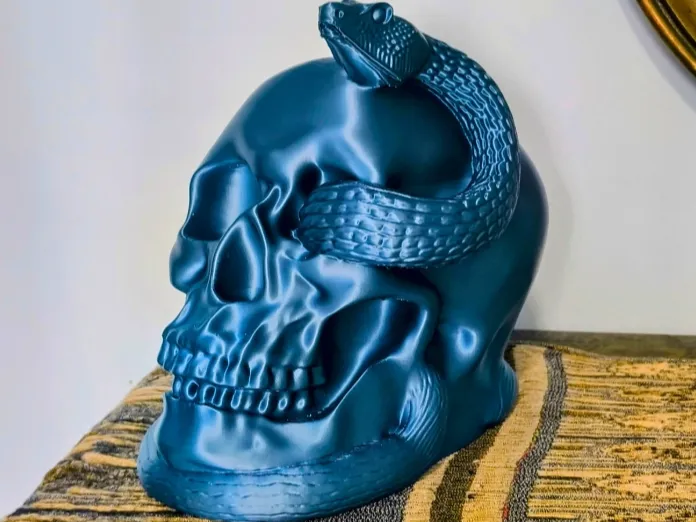 Skull with Snake