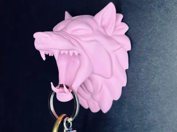 https://makerworld.bblmw.com/makerworld/model/US5f489c71e06891/design/2025-03-18_0db3b6a5c3a0f.jpeg