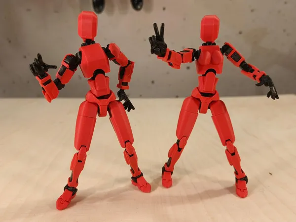 https://makerworld.bblmw.com/makerworld/model/US5f48dbb0e0a2c4/design/2025-05-14_5097a4731979c8.jpg