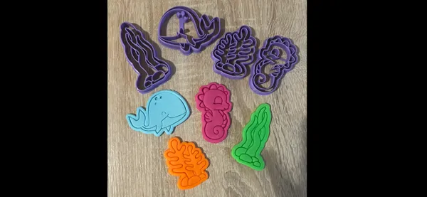 https://makerworld.bblmw.com/makerworld/model/US5f53d6568bef14/design/2024-01-26_6d2ffa92211218.png