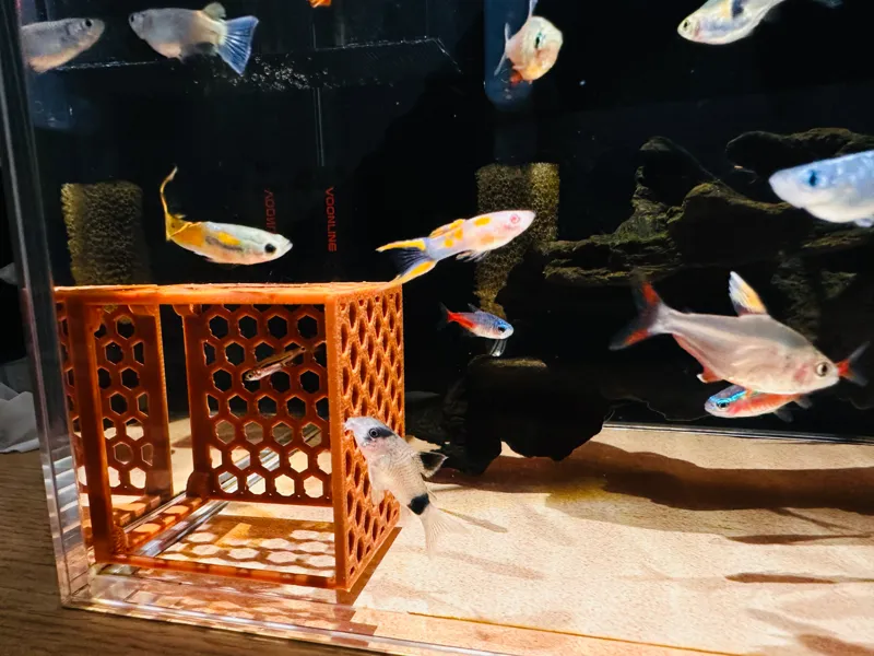鱼缸 鱼苗躲避屋 可磁吸 小鱼躲避 虾木 