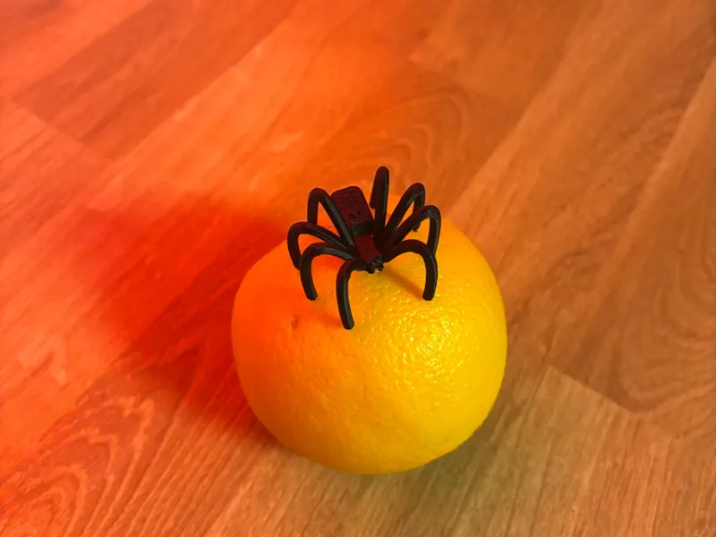Long-Legged Spider