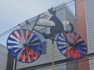 Orville Kitty & Nutsy on a Bike – PinWheels