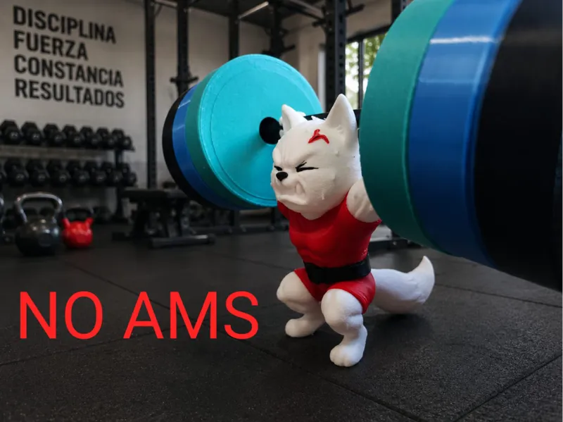 gato fuerte/SIN AMS