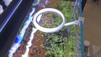 0.2mm 层高, 1 层墙, 0% 填充