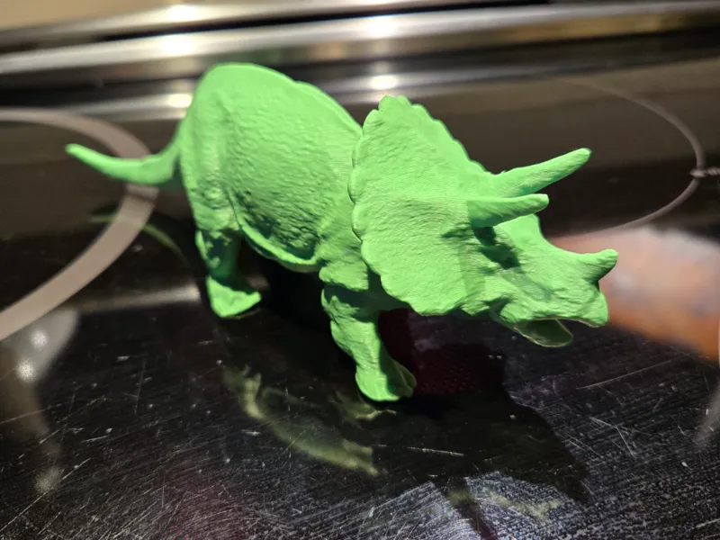 Triceratops