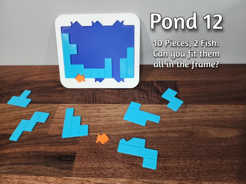 Pond 12 Puzzle