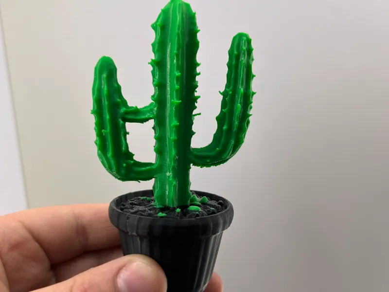 cactus