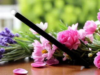 Classic Magician’s Wand