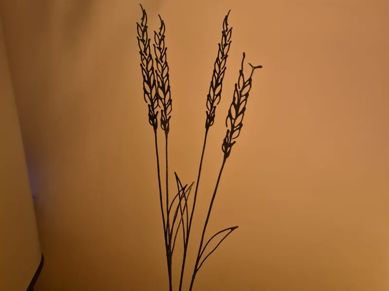 Wheat ears