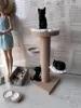 Cat tree