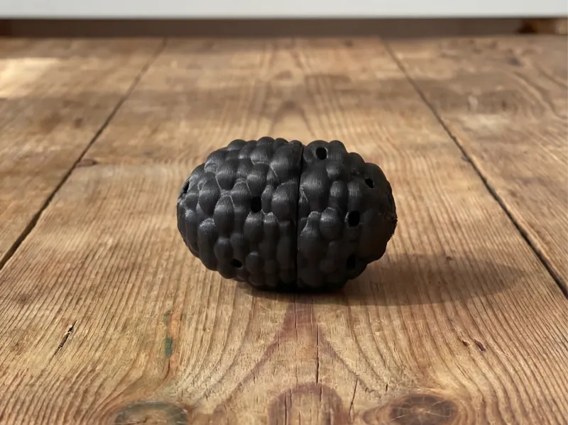 Dog Scent Training Capsule – Sniff Toy