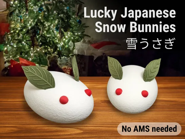 https://makerworld.bblmw.com/makerworld/model/US5f78e8fe3d787d/design/2025-11-09_140b2ec51e1a68.png