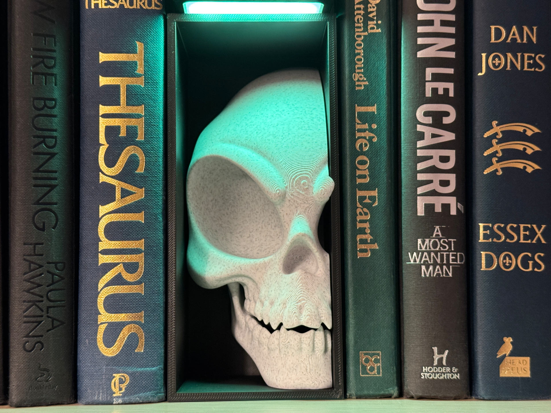 Alien Skull Sci-Fi Horror Bookshelf Insert