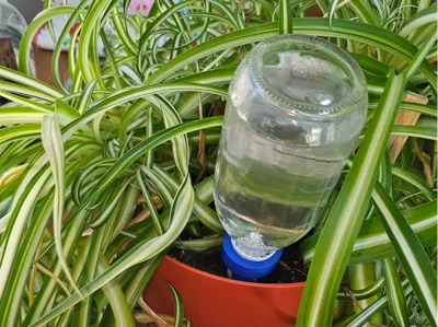 WickSmart Plant Watering Spike