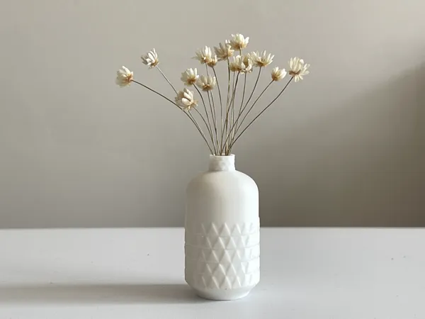 https://makerworld.bblmw.com/makerworld/model/US5f83d7efd67aca/design/c22f39005dc740f9.jpg