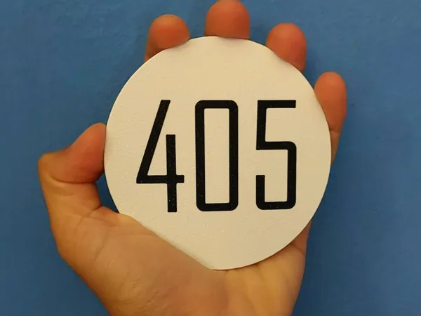 https://makerworld.bblmw.com/makerworld/model/US5f8694518d0e0e/design/2024-09-15_9eda9666c1bd3.jpg
