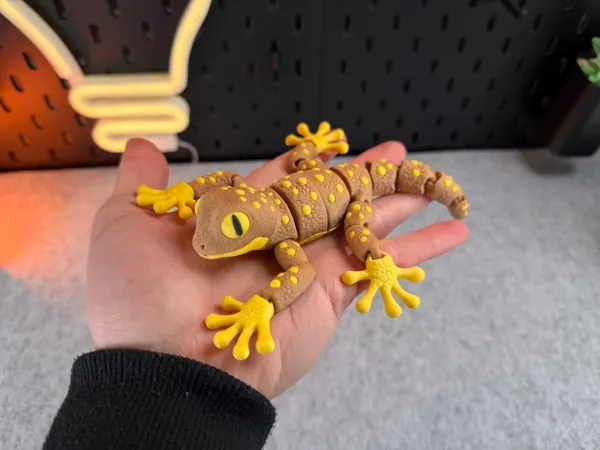 https://makerworld.bblmw.com/makerworld/model/US5f87d8d7980b2f/design/2026-01-18_0c3b74ab3ed89.jpg
