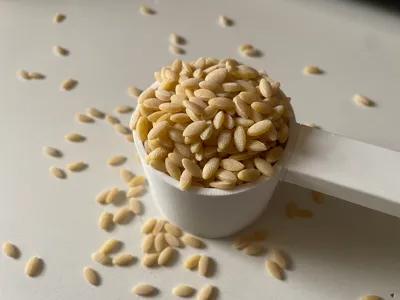 Pet Food Scooper