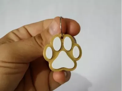 3D Paw Model
