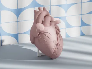 Realistic Human Heart