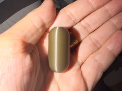 Mighty Beanz OG