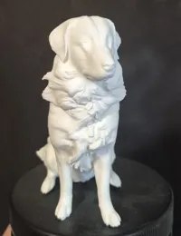 0.2mm layer, 2 walls, 10% infill Stützbalken an