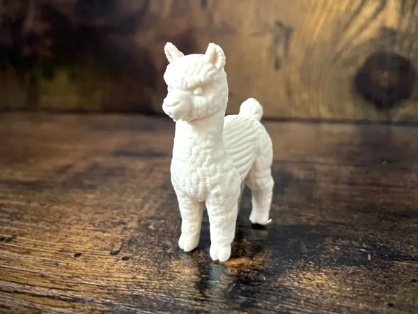 https://makerworld.bblmw.com/makerworld/model/US5f9a05efe4c9fa/design/2025-08-16_6ed201f6646618.jpg