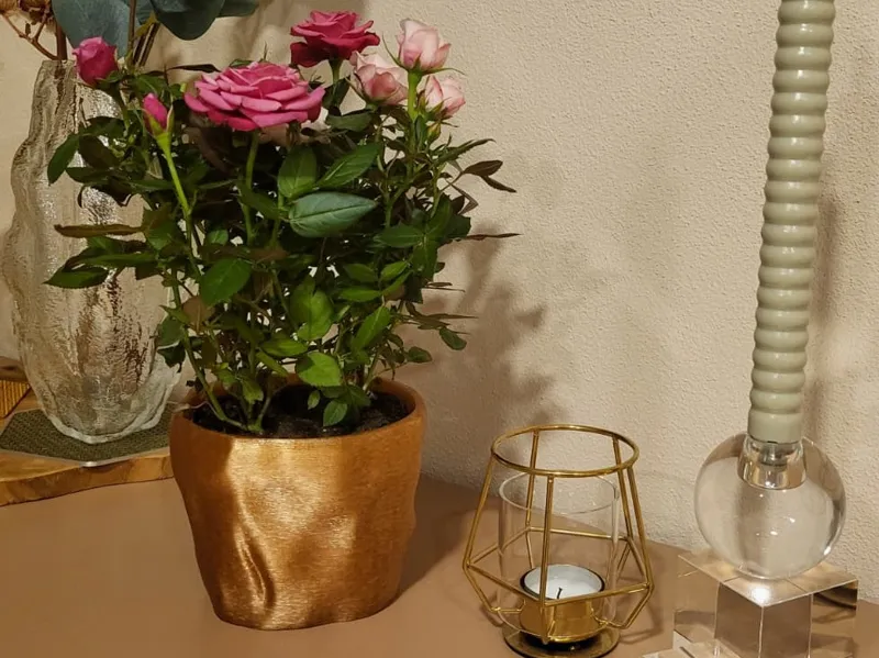 Plant pot
