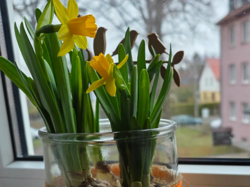 Blumenstecker "Vögel auf Zeig"
