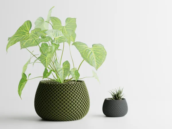https://makerworld.bblmw.com/makerworld/model/US5f9f0f6eae412/design/2024-04-22_aa872d0424b92.png
