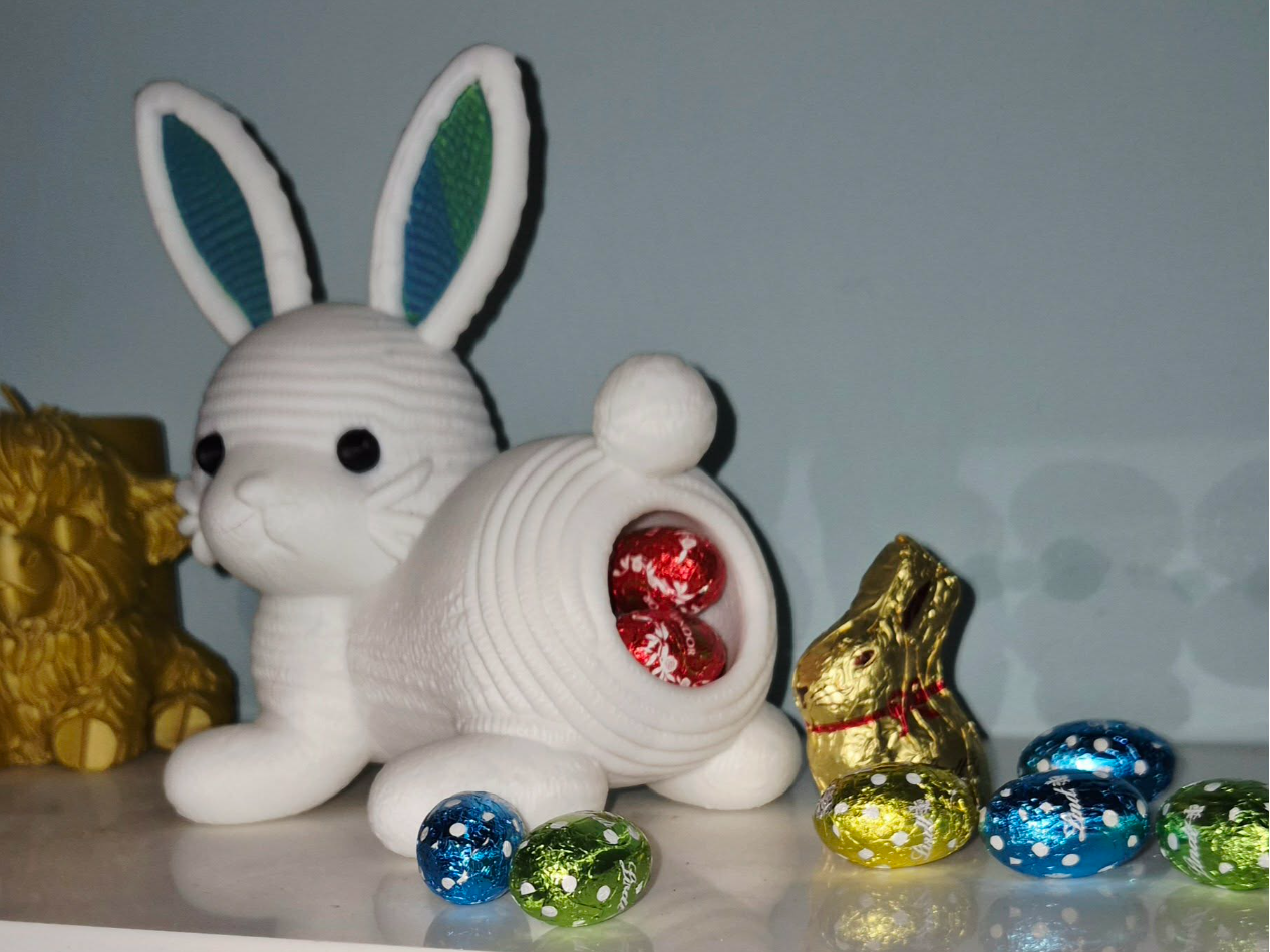 Hoppy Treat Bunny-surprise