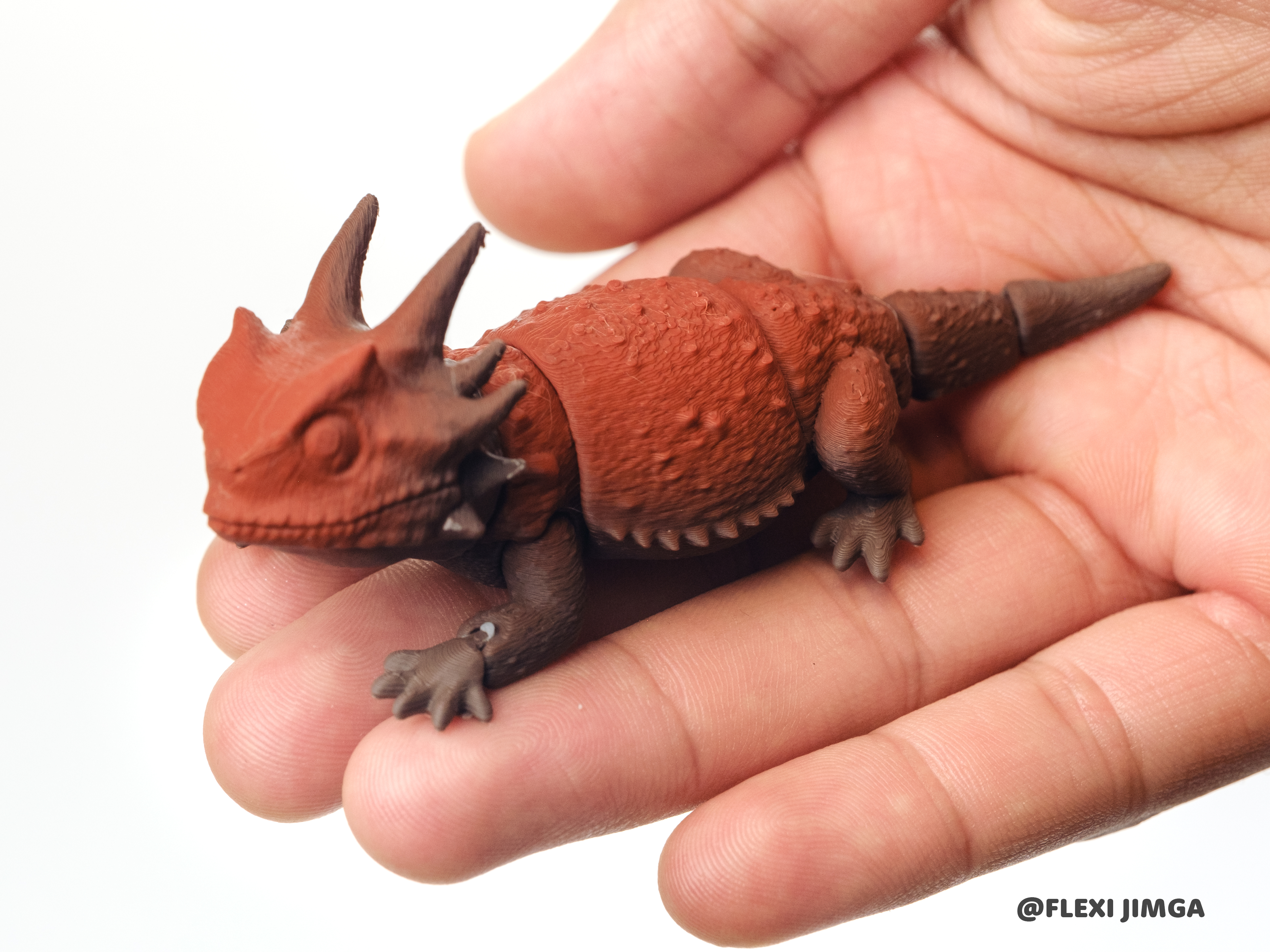 Cute Horned Lizard | Flexi Model - 1