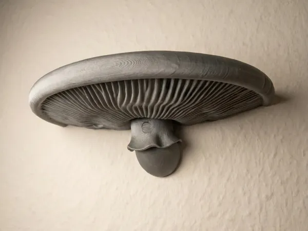 https://makerworld.bblmw.com/makerworld/model/US5fa54bbf4e11e0/design/50d8ae741e19be58.png