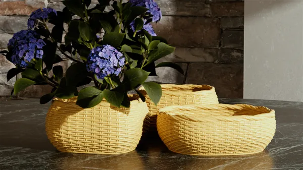 https://makerworld.bblmw.com/makerworld/model/US5fa697181af277/design/2024-03-29_1bef7b550f89b.jpg