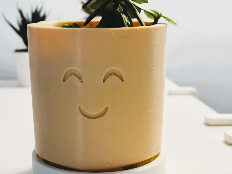 Smiling Planter