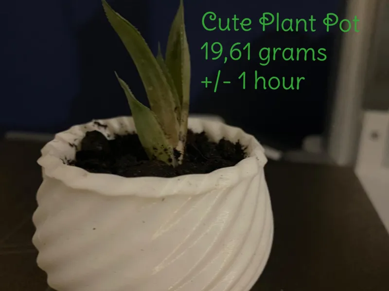 Cute Plant Pot 