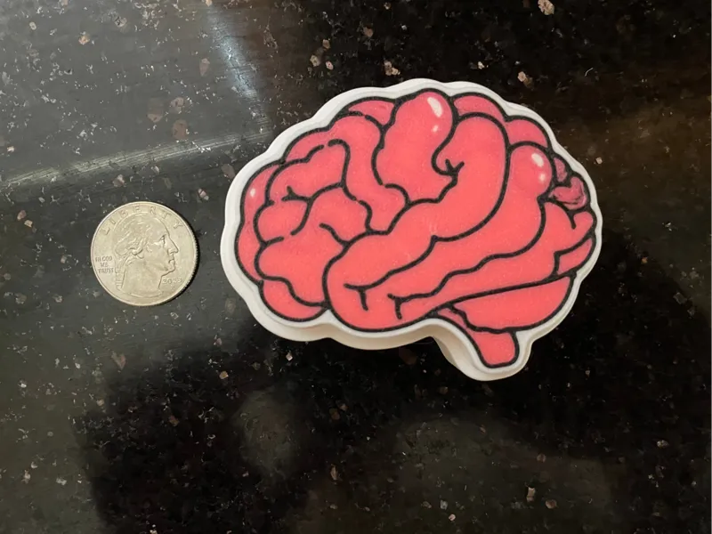 Anatomical Brain Clicker