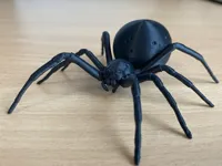 Araignée veuve noire réaliste — photo 2