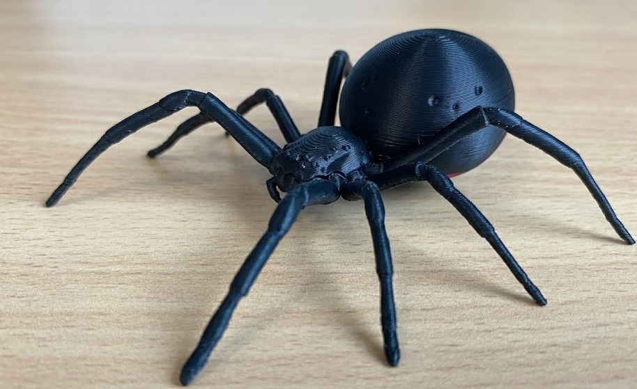 Large black widow