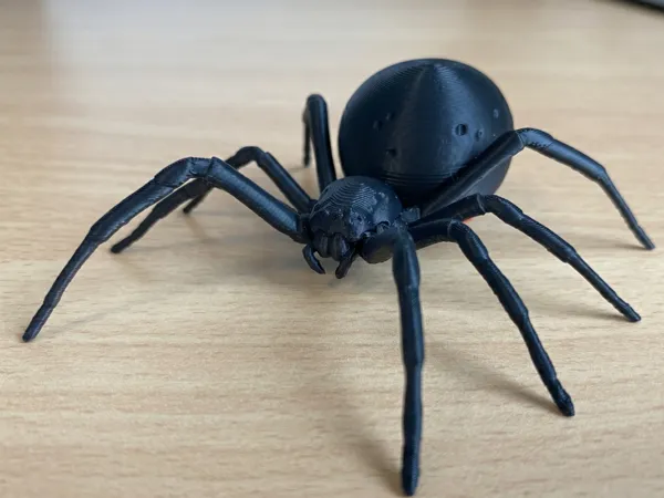 Araignée veuve noire réaliste