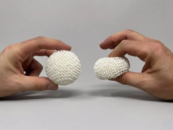 https://makerworld.bblmw.com/makerworld/model/US5fb5798af87c72/design/35ff8a85cf4df301.png