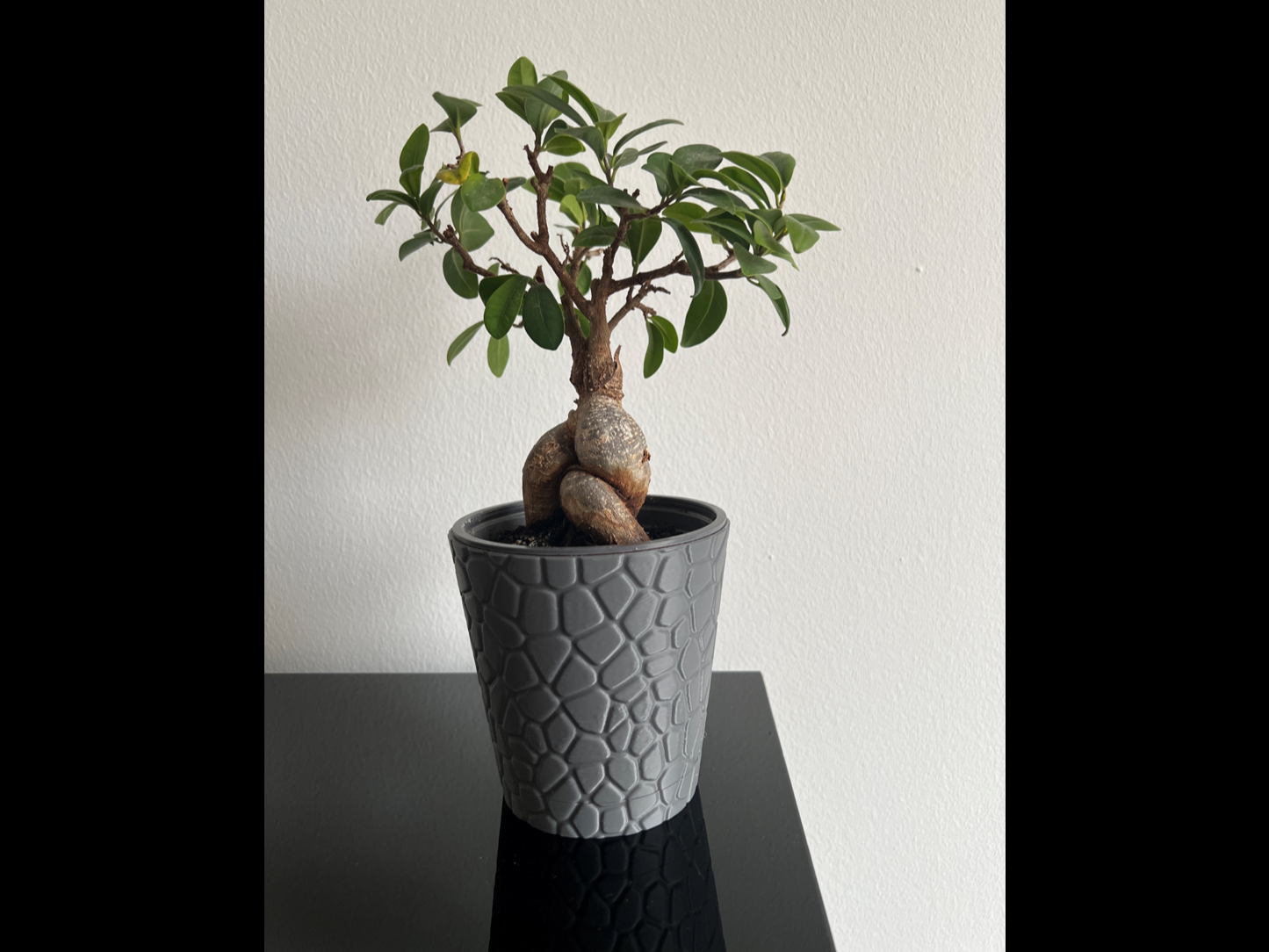 Twist Lock Stone-Style Planter - D120 H98