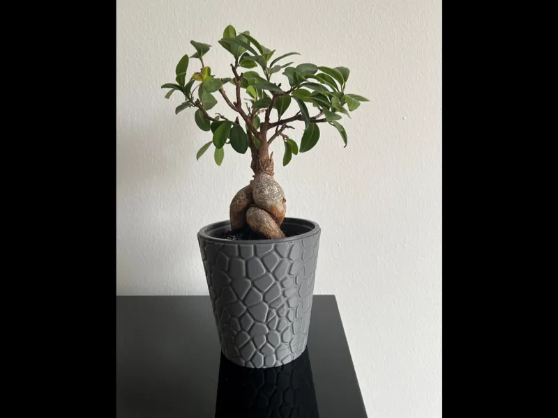 Twist Lock Stone-Style Planter - D120 H98