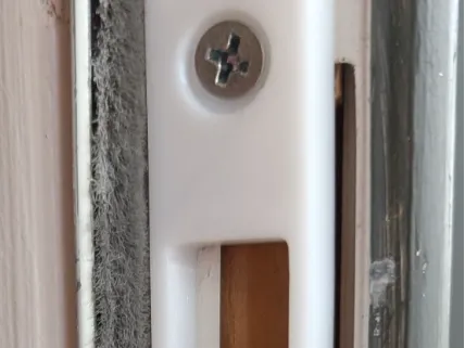 Larson Screen Door Latch Plate